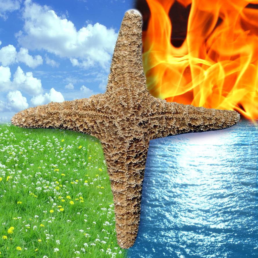 Klanovi Zodijaka - što zapravo znači da ste vatra, voda ili zrak