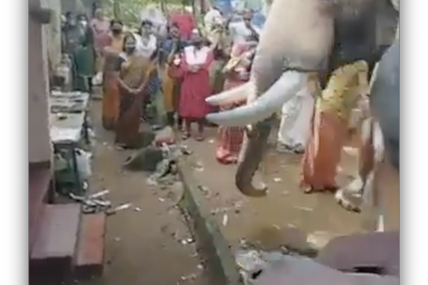 Slon se pozdravio od preminulog vlasnika