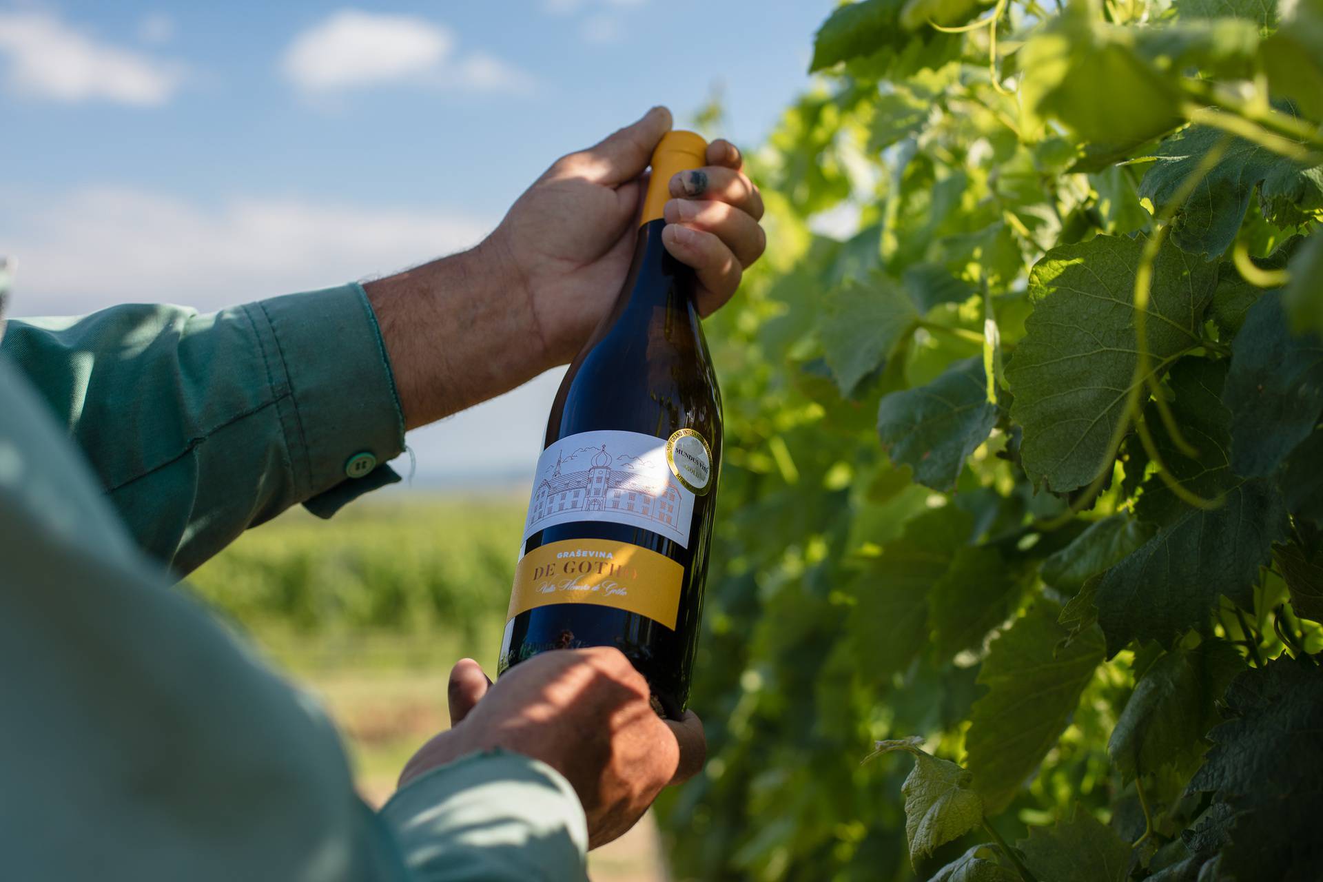 Vino koje morate probati jer je oduševilo vinske znalce – de Gotho graševina 2018.