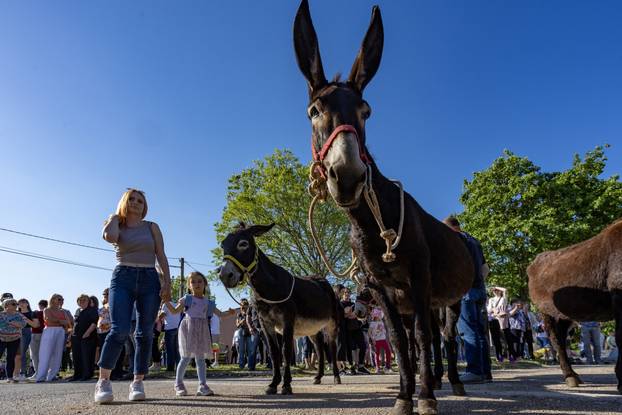 Pula: Održana je tradicionalna 55. Trka na tovari