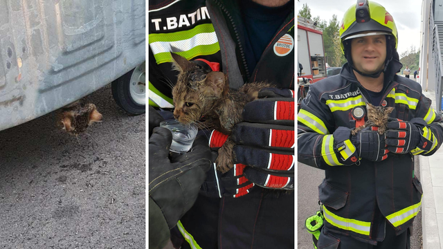 Makarski vatrogasci u akciji: Spasili su mačića kojemu je glava zapela u kontejneru