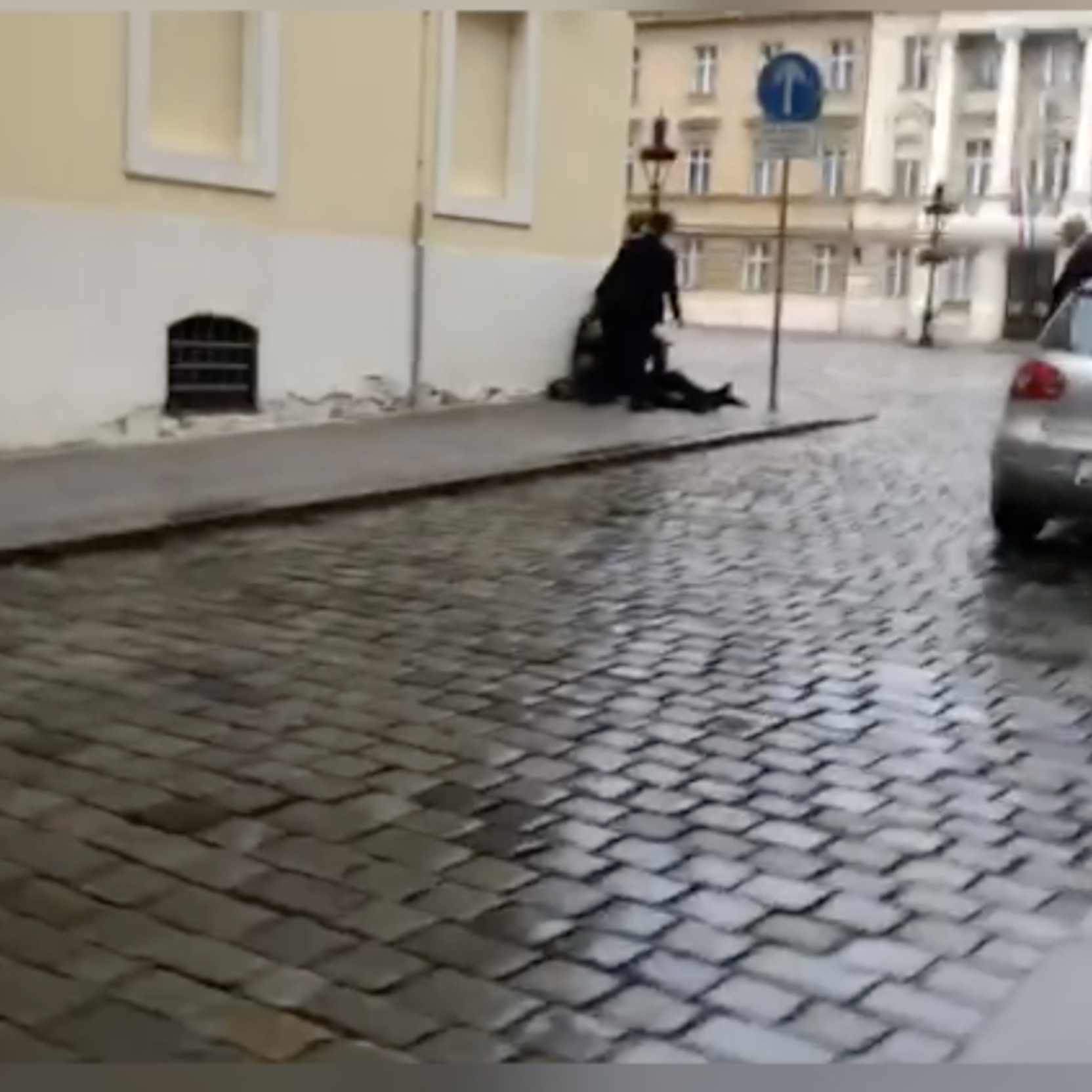VIDEO Snimka nakon napada: Prolaznici su pomogli policajcu