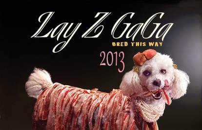 Pseća 'Lady Gaga' pozirala za promociju udomljavanja pasa!