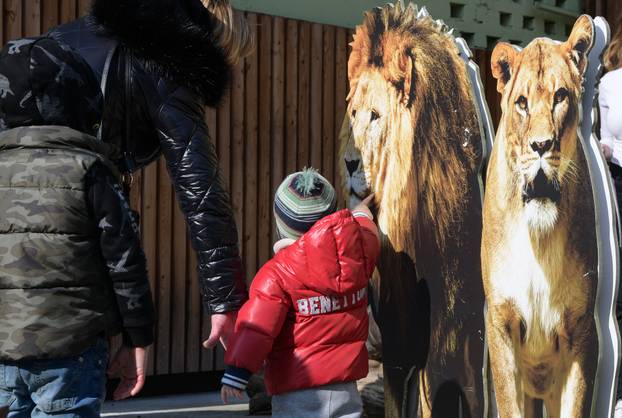 Egzotični vikend u Zoološkom vrtu u Zagrebu: Upoznajte raznoliki životinjski svijet Afrike