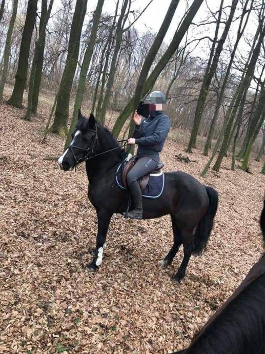 Za spomenik se bacaju milijuni, a udruga za terapijsko jahanje mora prodati konja da prežive