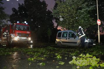 Vjetar u Osijeku srušio grane na cestu, intervenirali vatrogasci