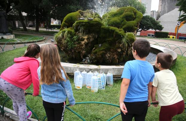 Šibenik: Fontana poznata po kornjačana dobila  nove stanovnike, 18 ribica