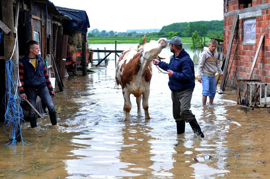 Duško Mirković/PIXSELL