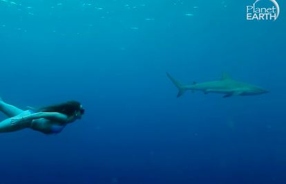 Ona je seksi i ničeg se ne boji: Pliva s morskim psima i uživa
