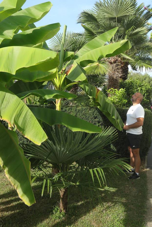 Egzotični vrt Igora Čupića