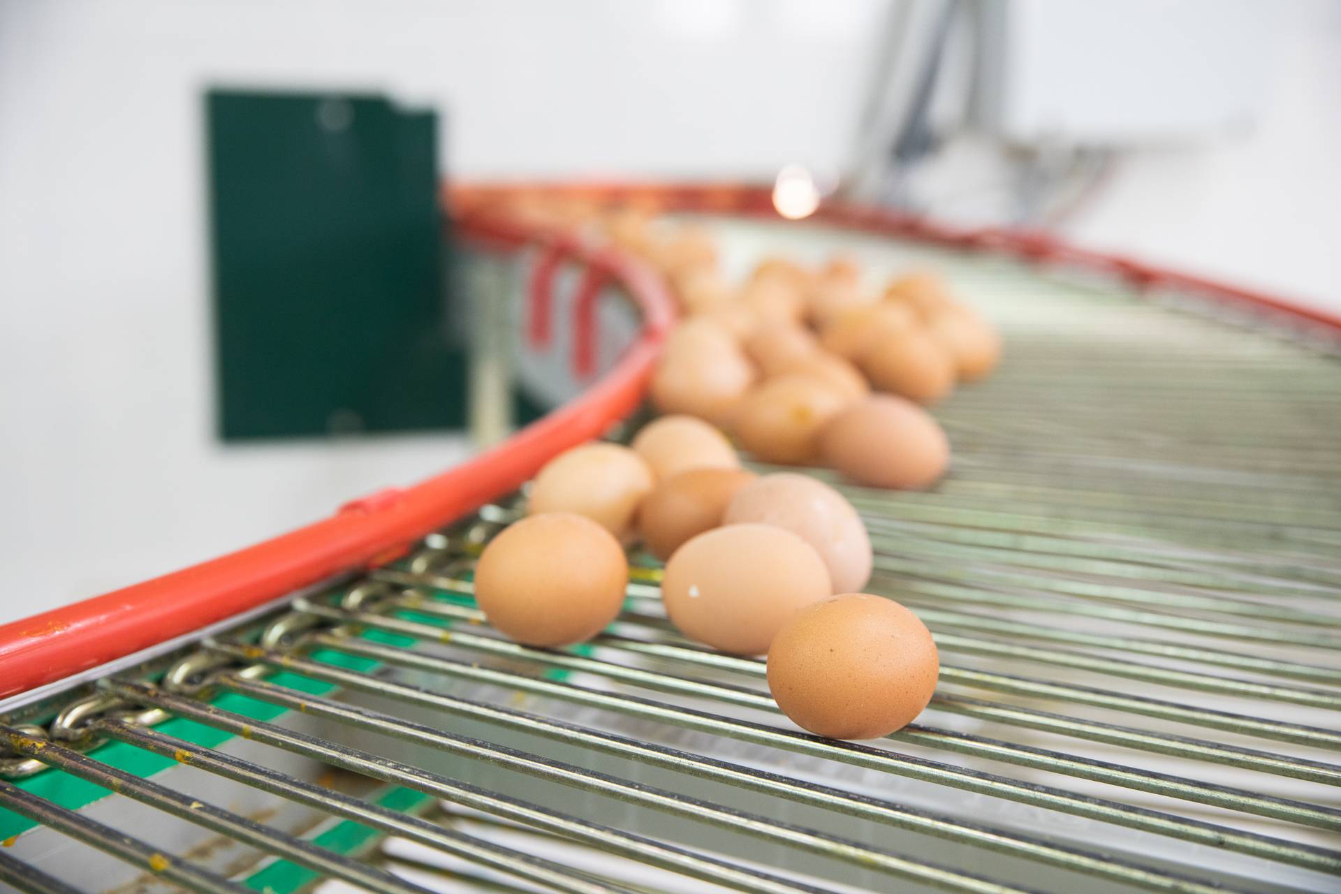 Domaća jaja potražite u SPAR i INTERSPAR trgovinama