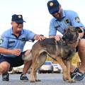 Pas kojeg je poliajac bacio u more ima novi dom. Zadarska policija pobrinula se za njega