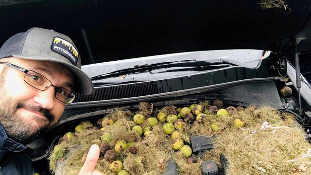 A man gestures next to walnuts and grass hidden by squirrels seen under the hood of a car, in Allegheny County, Pennsylvania, U.S. in this October 7, 2019 image obtained via social media