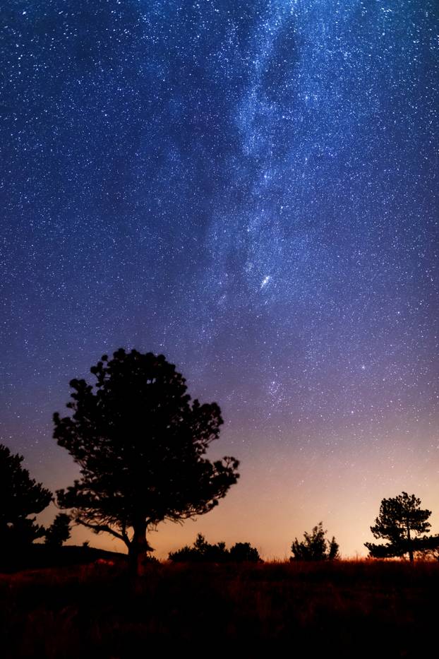 Foto: Miroslav Lelas/PIXSELL