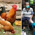 Nema što ne nude za cijepljenje: Krave, kokoši, plaćeni dopust, stan vrijedan milijun dolara...