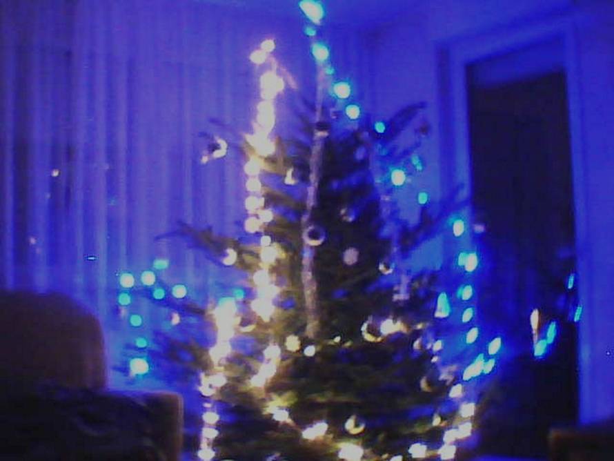 Šaljite fotografije božićnih jelki i osvojite vrijednu nagradu...