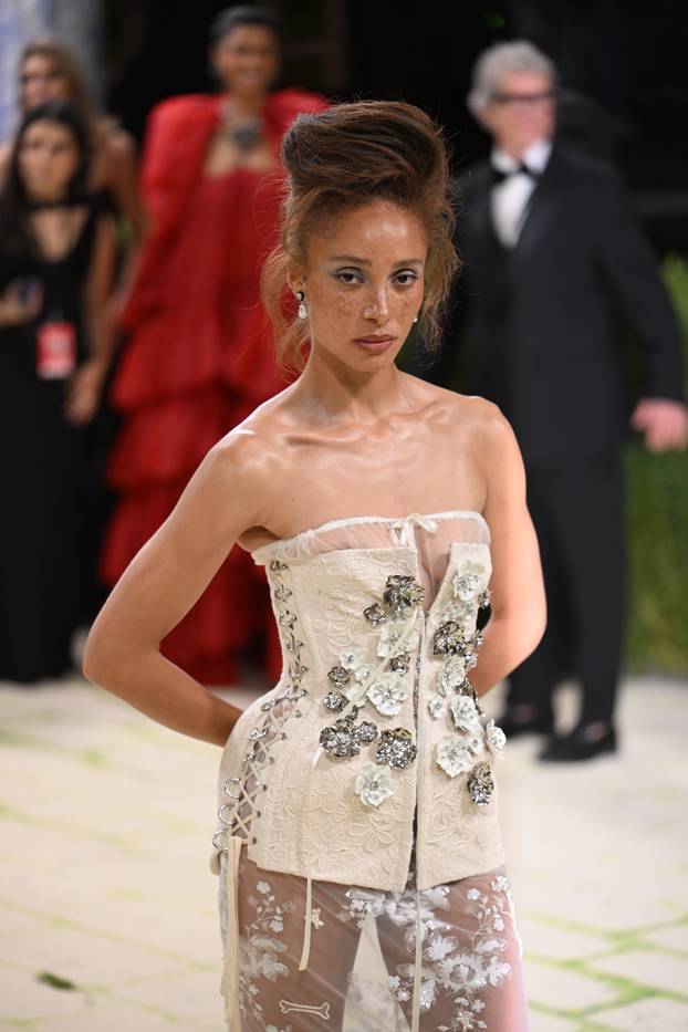 The Met Gala 2026 - New York
