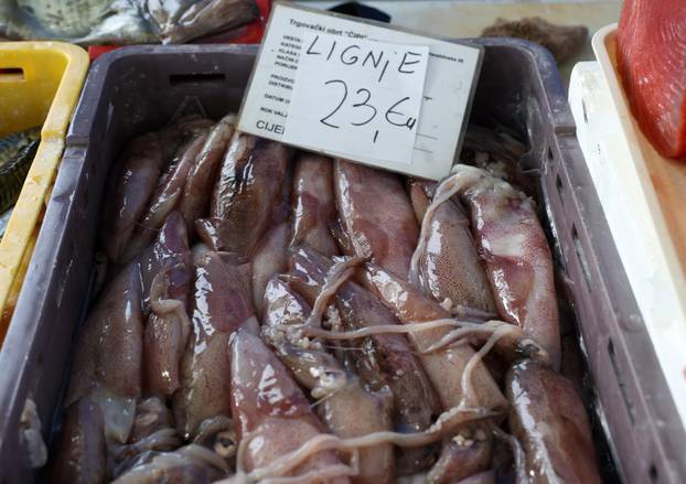 Šibenik: Ponuda na šibenskoj ribarnici