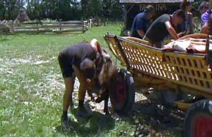 Farma: Kikija Rahimovskog magarac je ugrizao za prst
