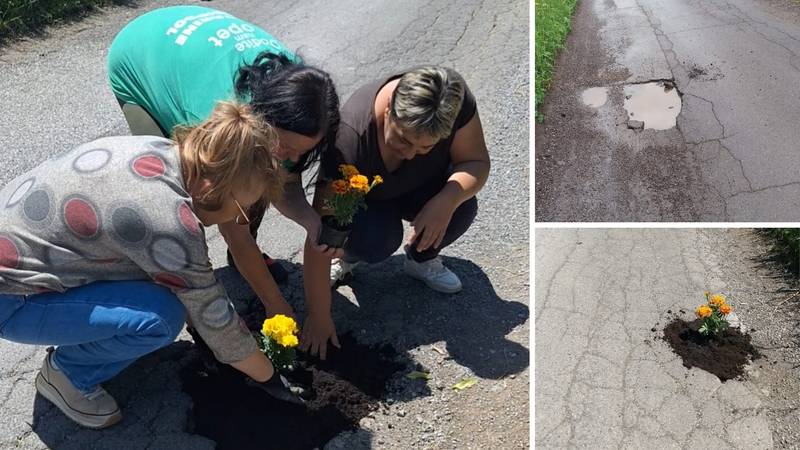 Mjesecima im nisu zakrpali rupe na cesti pa su posadile cvijeće u njih: 'Idući dan su sve riješili...'