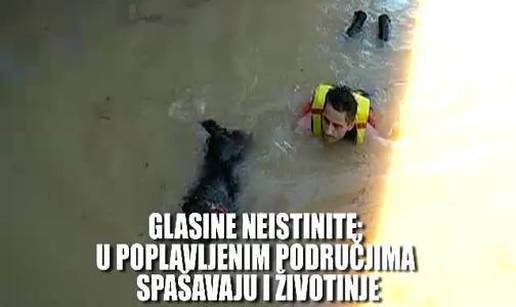 U poplavljenim Drenovcima spašavaju se i životinje