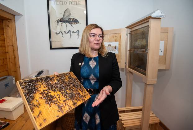 Zagreb: Ivana Tlak Gajger, profesorica na Zavodu za biologiju i patologiju riba i pčela na Veterinarskom fakultetu