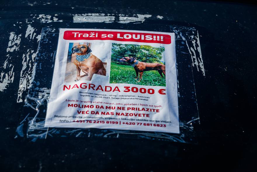 'Našeg psa Louisa nema više od mjesec dana, ali ne odustajemo. Ostajemo ga tražiti u Hrvatskoj'