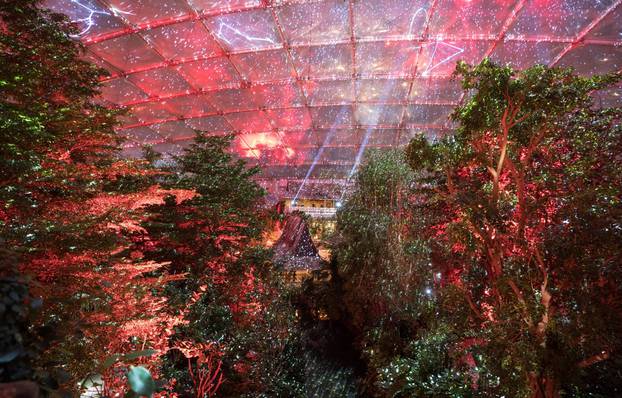 "Magic Tropical Lights" at Gondwanaland Leipzig