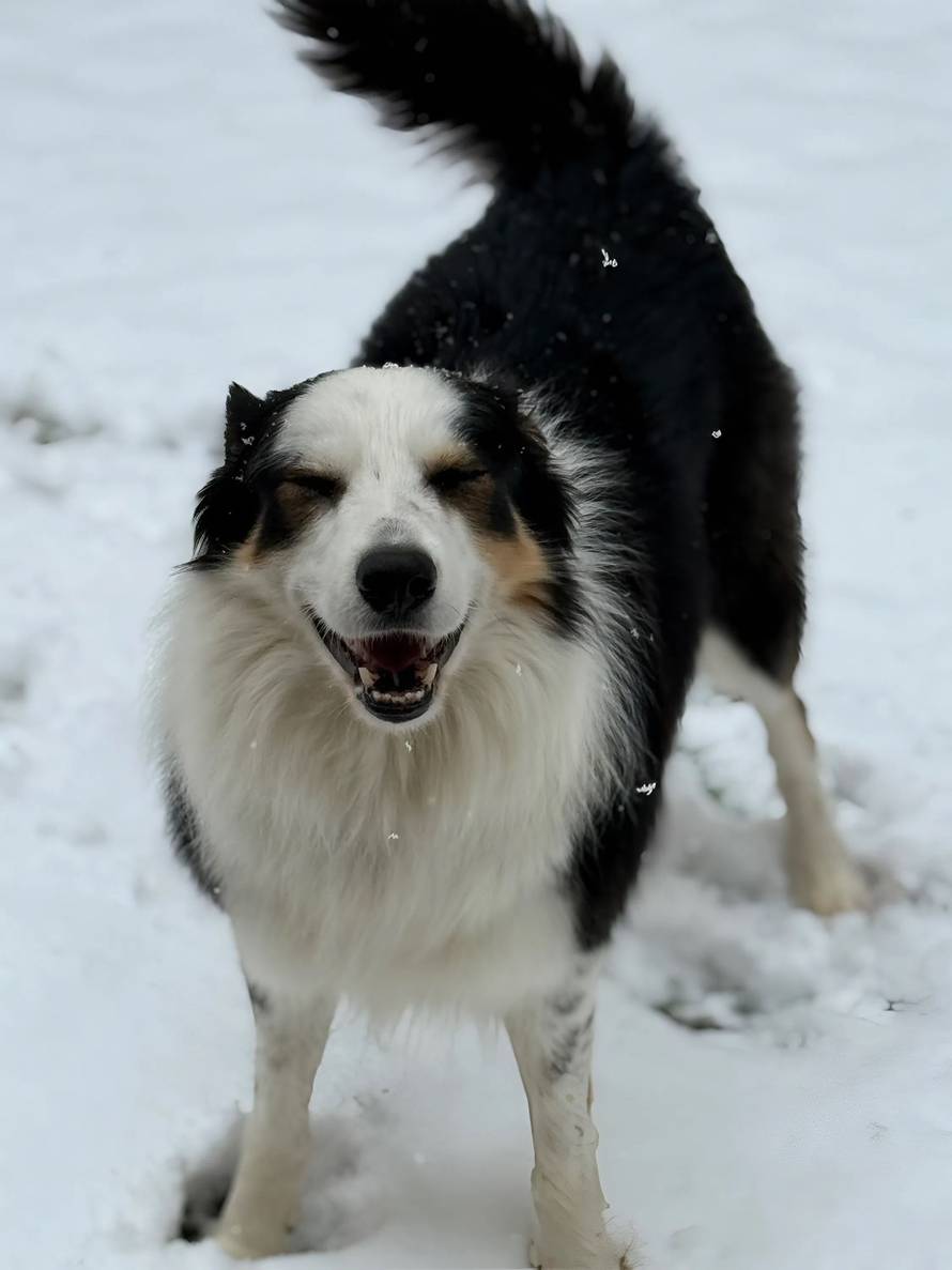 Općinska komunalka sama 'izlopatala' snijeg sa staze: 'Nema nikakve drame u tome'