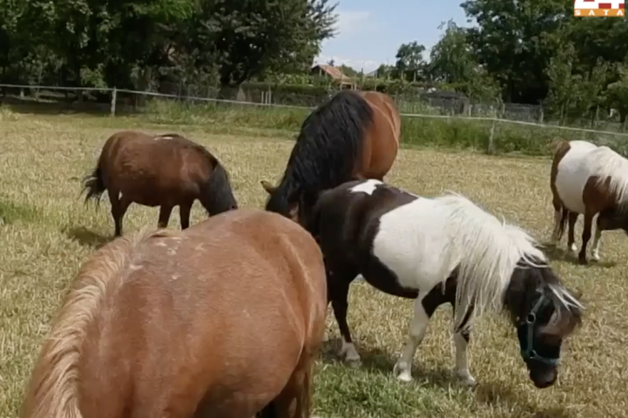 Ponyland u Murskom Središću