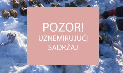 Strava: Ruski ribari kod rijeke našli vreću s - 52 ljudske šake!