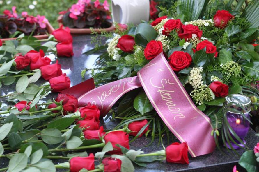 Željko Lukunić/PIXSELL