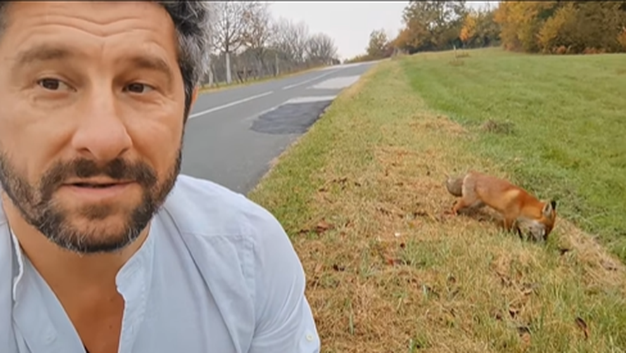 VIDEO Kratko i slatko druženje lisice i Dušana Bućana: 'Ovo je nadrealno iskustvo, definitivno'