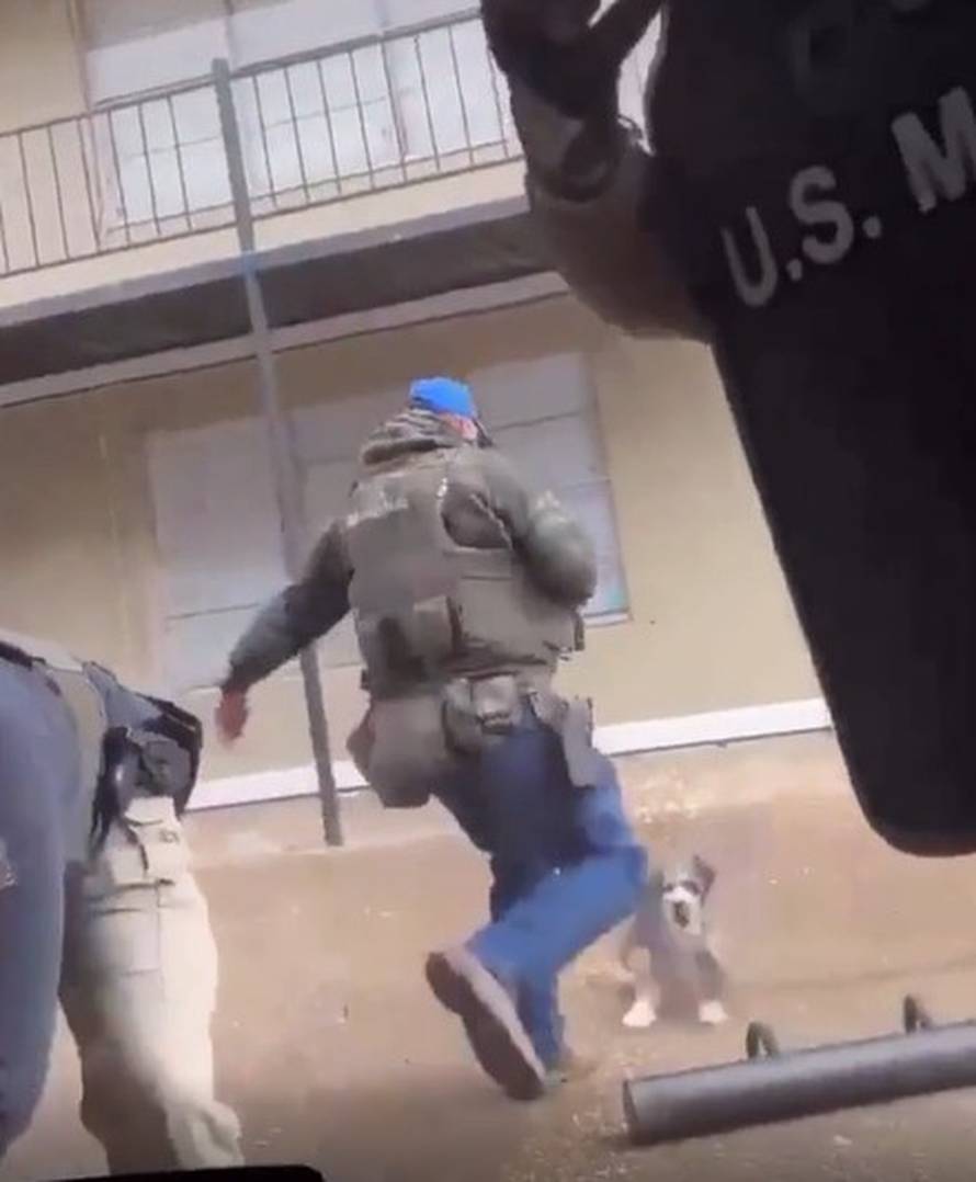 TRUMPOVA AMERIKA Snimka američkog maršala kako udara psa i lomi mu rebro šokirala sve