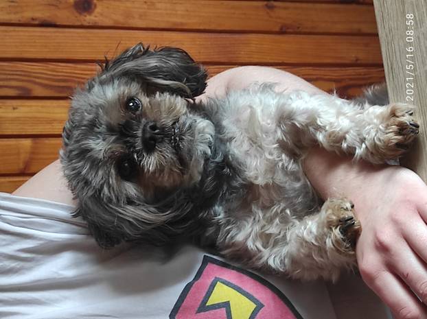 SUPER FOTKE vaših ljubimaca! Neki bi mogli biti viralni hit, ali svi su jednostavno neodoljivi