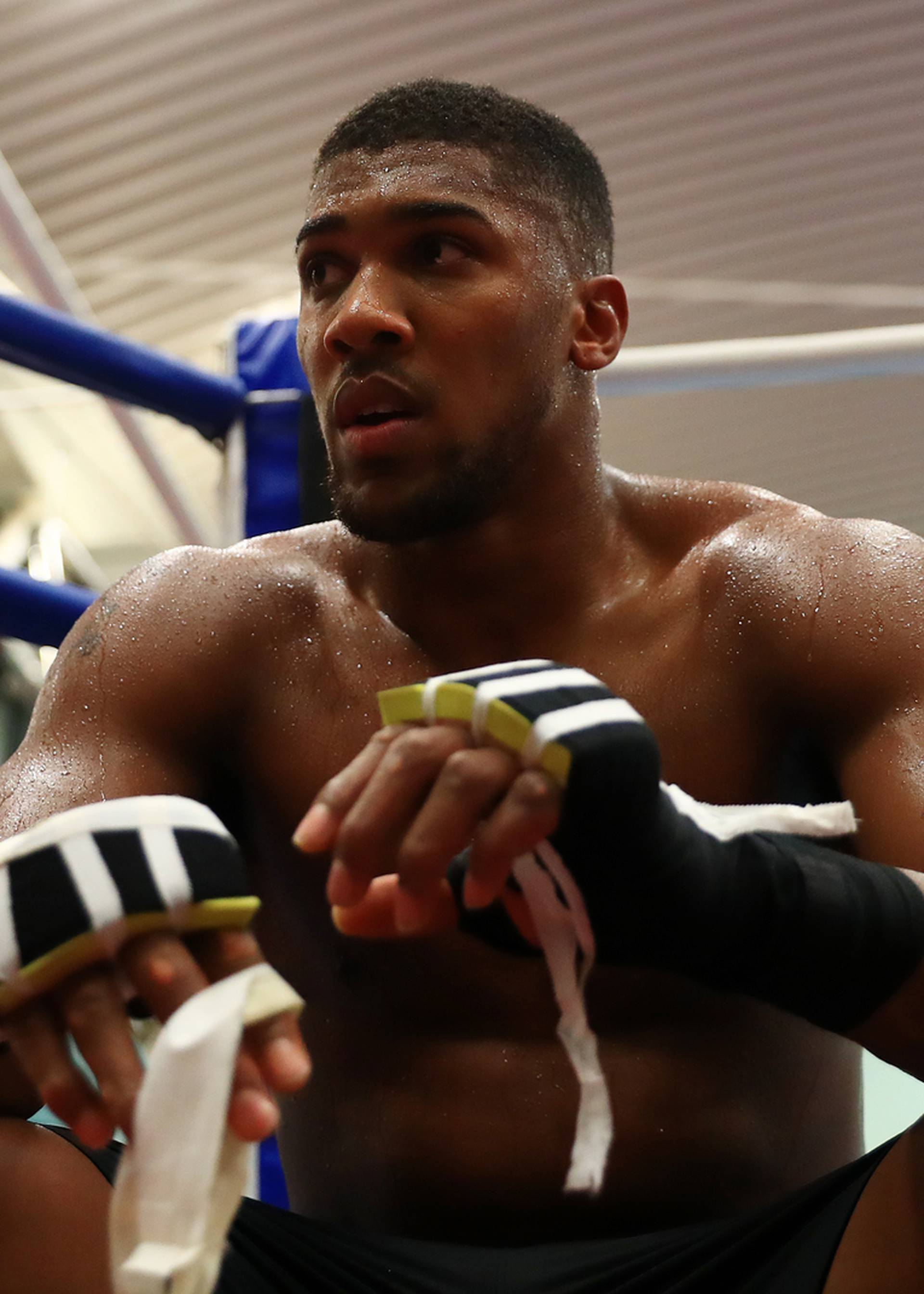 Anthony Joshua Media Session - English Institute of Sport