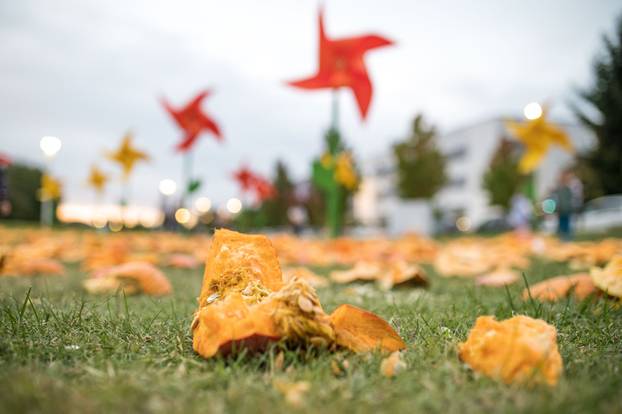 Održana 21. Bučijada i Sajam bučina ulja u Ivanić-Gradu