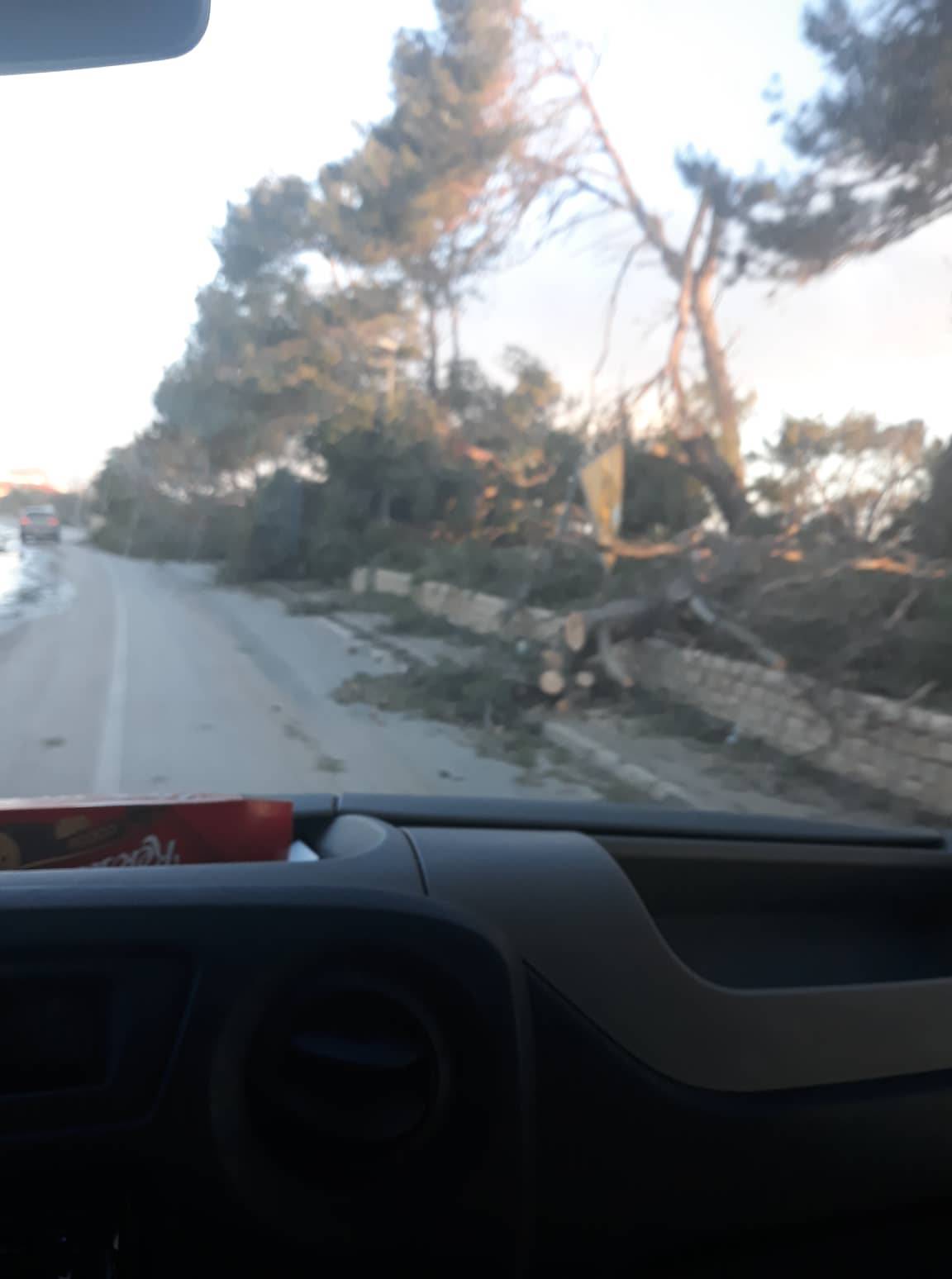 Zbrajaju se štete: Bura čupala stabla, semafore, rušila zidove