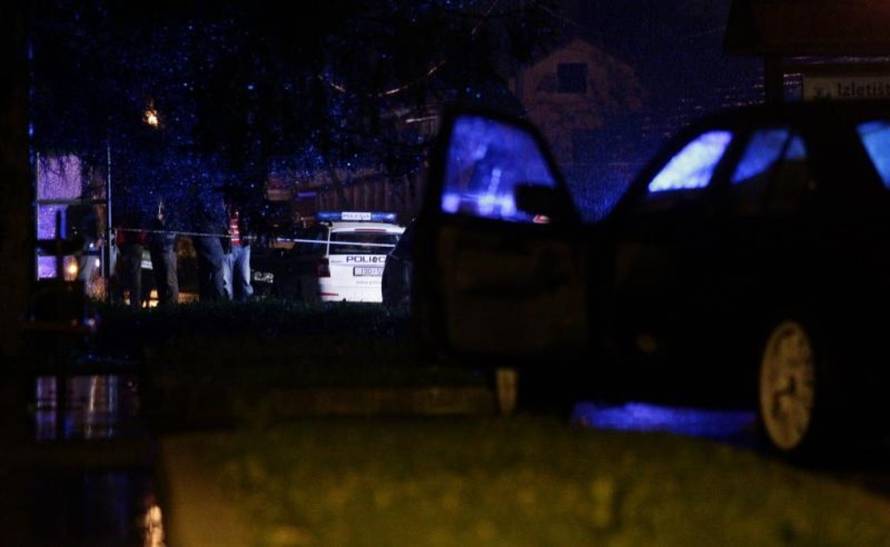 Željko Lukunić/PIXSELL