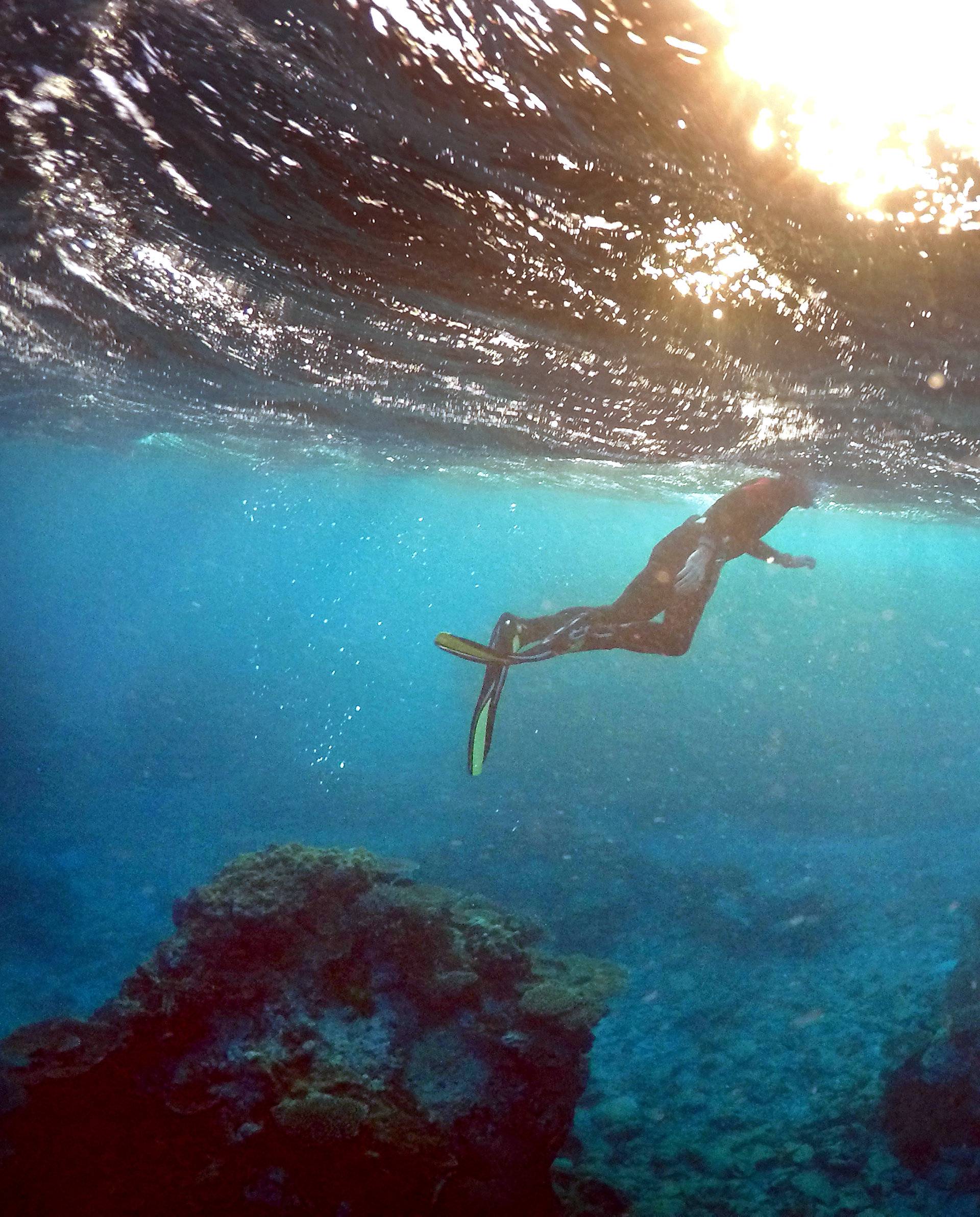 A man snorkels in an area called the 'Coral Gardens' near Lady Elliot Island, on the Great Barrier Reef