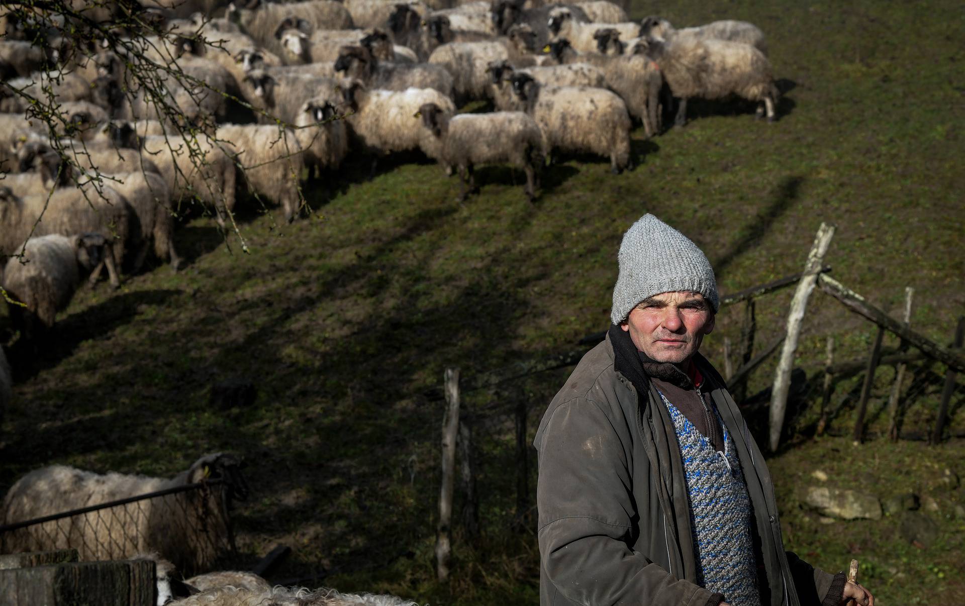 Upoznajte pastira Josu i njegove ovčice: 'Srećom, kuća mi je ostala čitava u potresu'