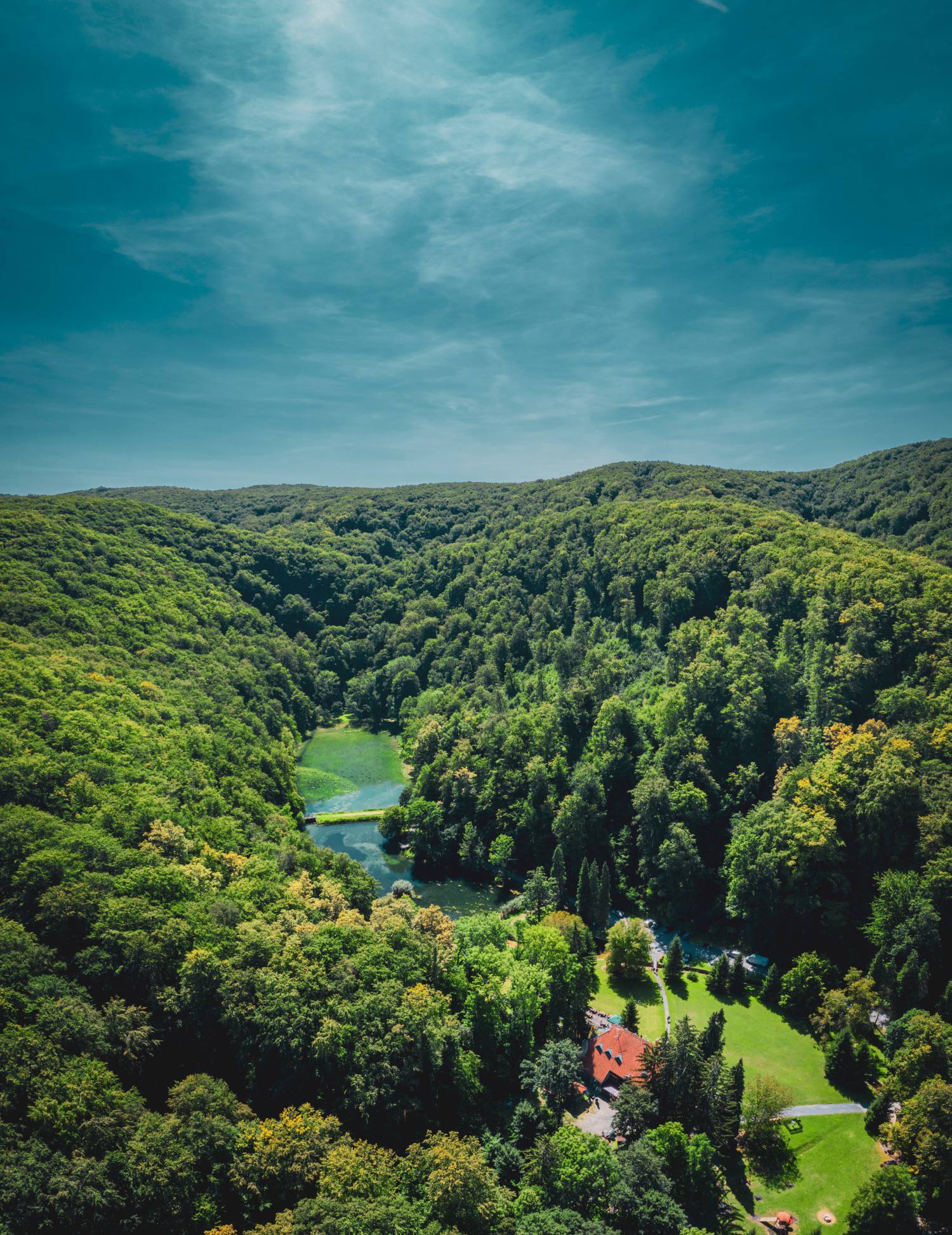 Upoznajte Park šumu Jankovac - očaravajuću oazu u srcu Papuka