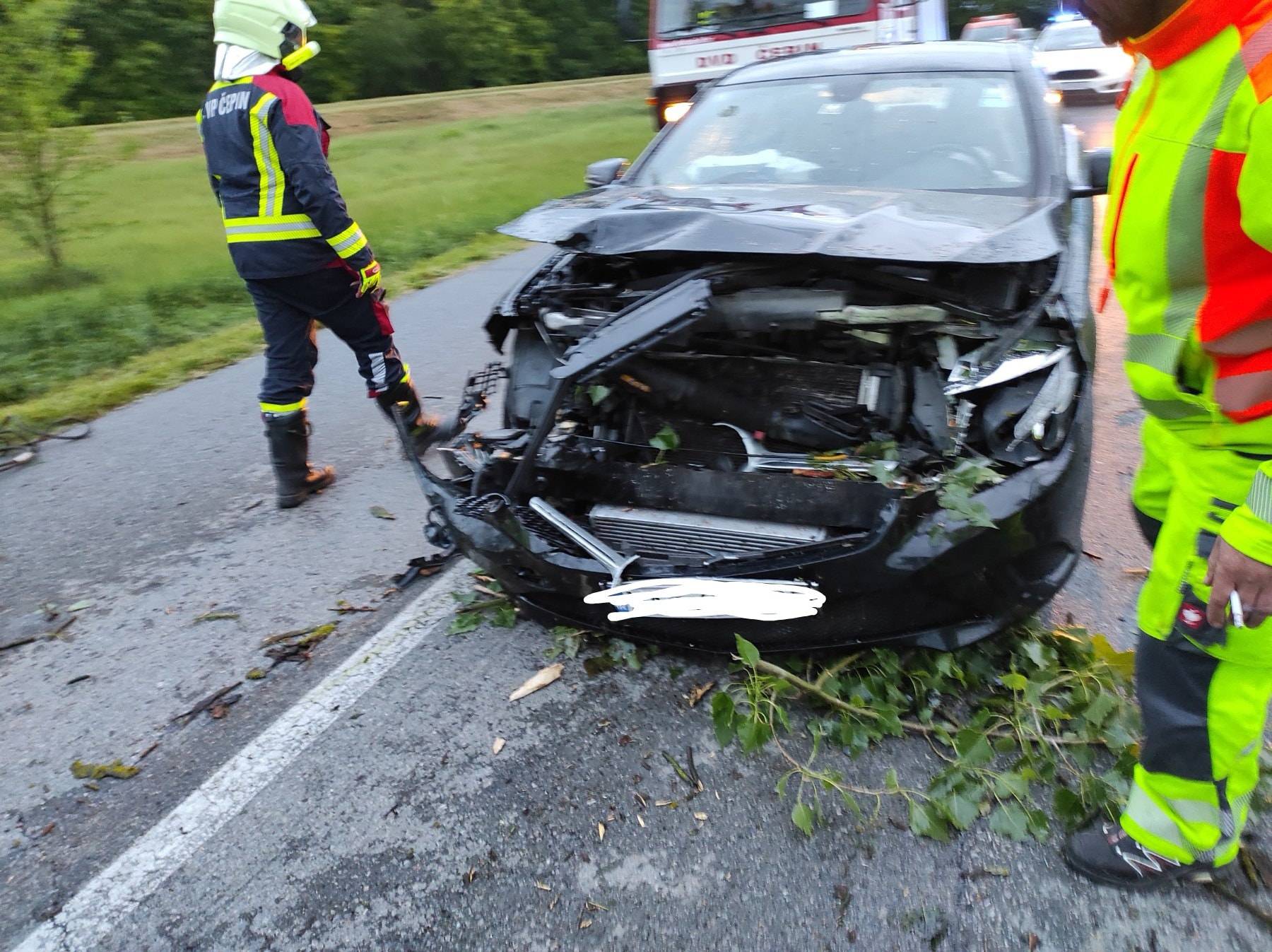 Čepin: Drvo palo na automobil i smrskalo mu cijeli prednji kraj