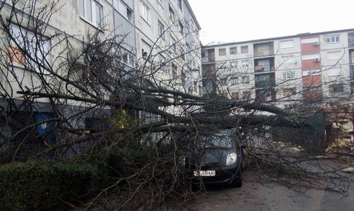 'A je to' u Zagrebu: Srušili su stablo na aute i ozlijedili ženu