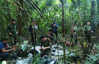 Detalji čuda iz džungle: Djeca su napravila  sklonište, pronašli su set za preživljavanje u olupini