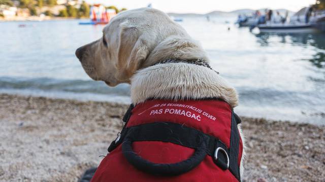 Krše mu prava: 'Sinu invalidu ne daju doći na plažu sa psom'