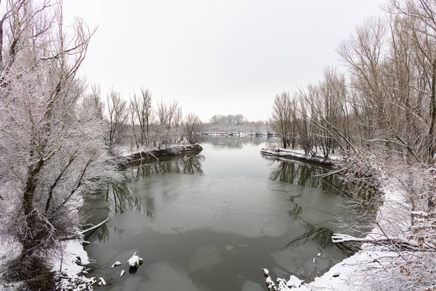 Kopački rit: Zimska idila u Baranji 