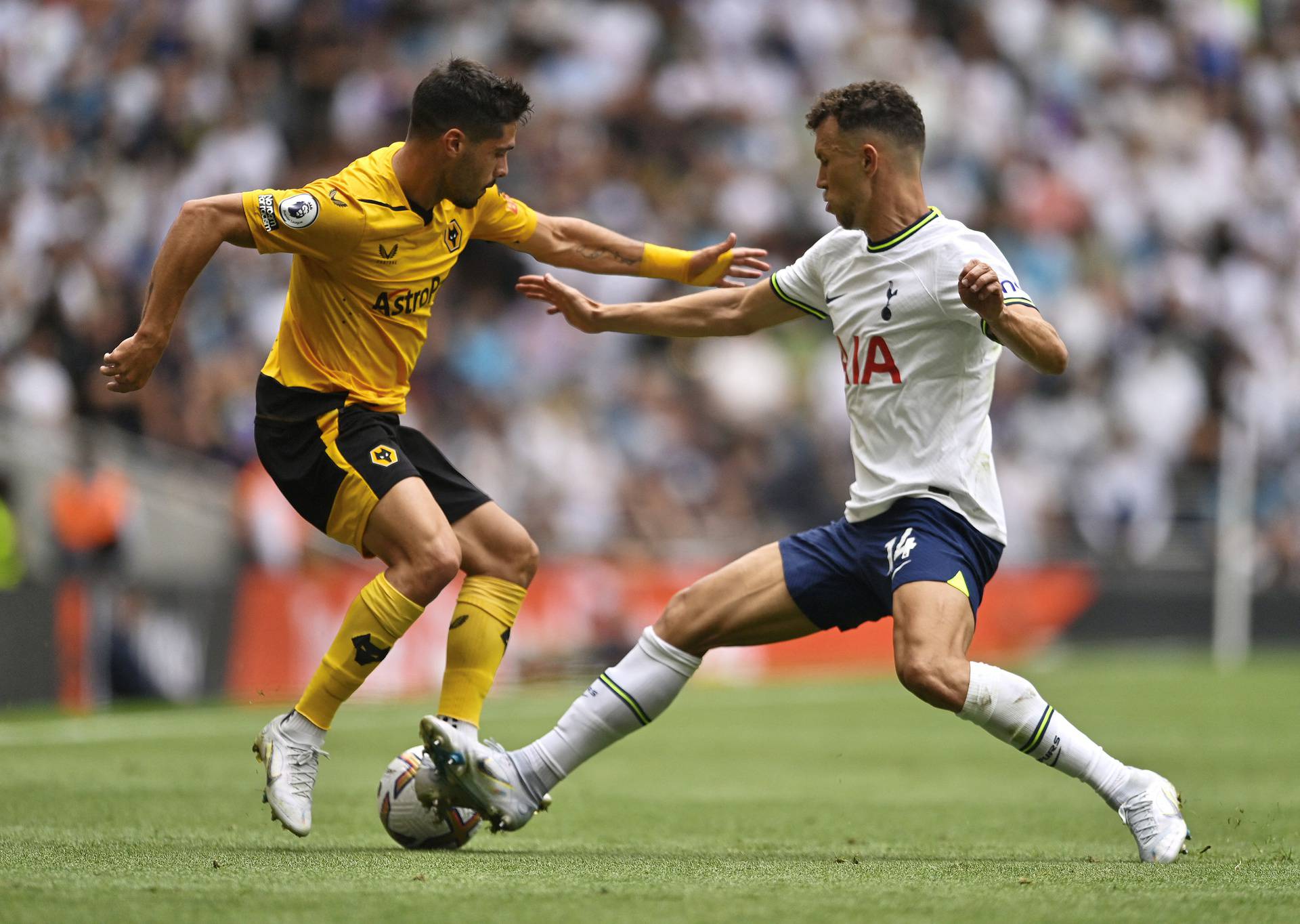 Premier League - Tottenham Hotspur v Wolverhampton Wanderers