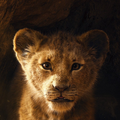 Simba nam se vratio u prvom foršpanu za novog 'Lion Kinga'