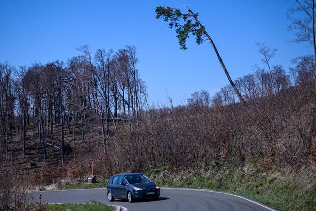 Zagreb: Posljedice olujnog nevremena na Sljemenu